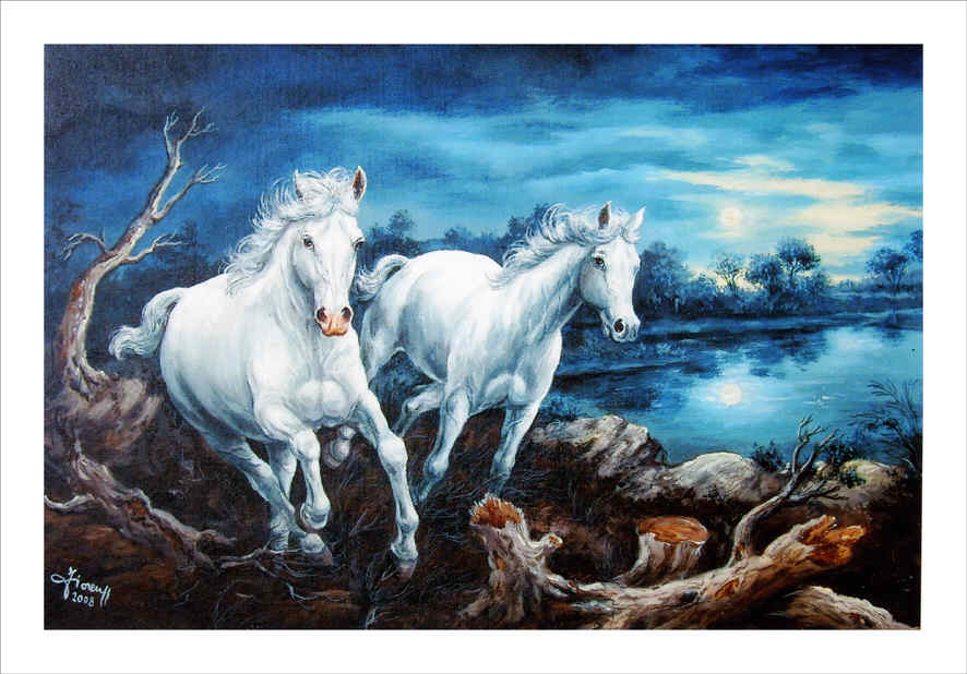 Cavalli al galoppo